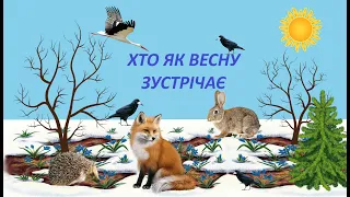 Хто як весну зустрічає