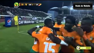 La superbe frappe de Max-Alain Gradel - Cameroun vs Côte d'Ivoire (0-1) | CAN 2015