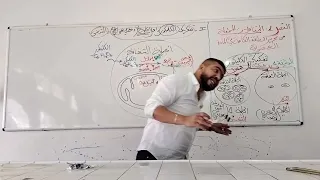 التفاعلات المسؤولة عن تحرير الطاقة الكامنة في المادة العضوية #الحلقة_3  👊👊🏆🔥🔥