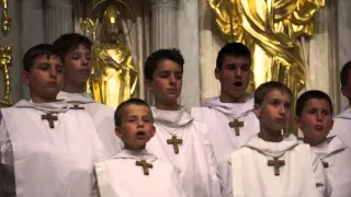 French Boys Choir at the Cathedral Basilica