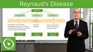 Raynaud's Disease – Diseases of the Lymphatic System | Lecturio