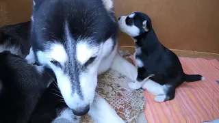 WARM WITH MOM / С МАМОЙ ТЕПЛО