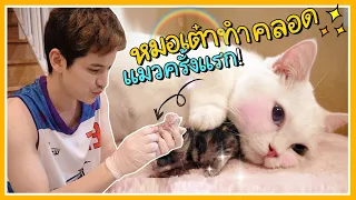 ทำคลอดแมวตอนเที่ยงคืน!! | ติดเต๋า [ENG SUB]