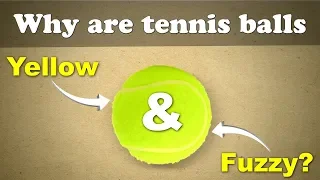 Why are Tennis balls Yellow and Fuzzy? + more videos | #aumsum #kids #science #education #children