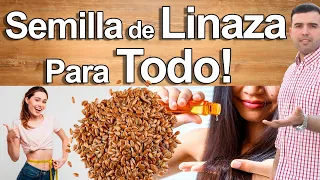 Beneficios de la Semilla de Linaza - Para Qué Sirve y Cómo Tomarla - LINAZA PARA TODO