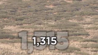 Long Range Hunting - 54 KILL SHOTS - Extreme Outer Limits TV