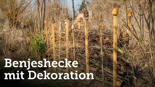 Aus Strauch/Baumschnitt wird eine wertvolle Totholzhecke/Benjeshecke für Igel, Vögel und Insekten!