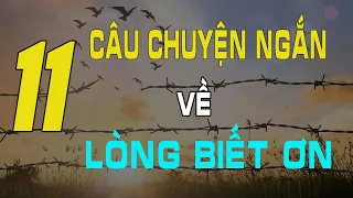 LÒNG BIẾT ƠN | 11 Câu Chuyện Giúp Bạn BỒI ĐẮP SỰ BIẾT ƠN Từng Ngày