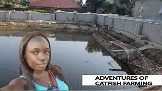 From Fingerlings to PROFIT: Catfish Pond Stocking Strategies revealed//Uganda