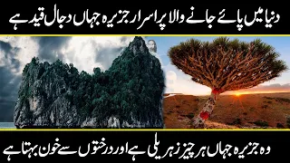 Socotra island, The Island of Dajjal | Dajjal ka Jazeera | Urdu Cover