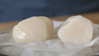 ChefSteps Tips & Tricks: How to Buy a Scallop