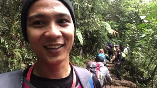 Misi Kinabalu With Love 2021 (3 November 2021)