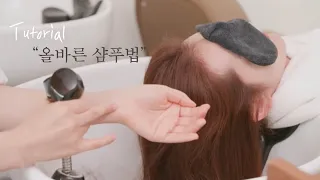 [차홍뷰티] 올바른 샴푸법 | How to wash your hair properly