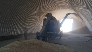 Самоходная зерноочистительная машина + зерномет ОВС-70М4 70 т/час  очистка и буртовка  зерна пшеницы