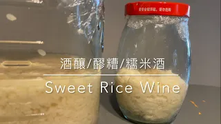 自釀 酒釀/醪糟/糯米酒/紹酒/女兒紅 Home Make Sweet Rice Wine