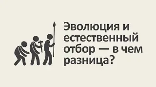 Эволюция и естественный отбор — в чем разница? [MinutePhysics]