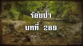 ร้อยป่า บทที่ 289 เชิงชั้นของดวงดารา | สองยาม