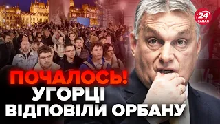 💥ORBAN has had enough! A MASSIVE protest swept the capital, BUDAPEST did not remain silent!