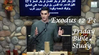 Exodus 12(Part 3) & 13(Part 1) Bible Study (Exodus/Firstborn Consecration) | Pastor Daniel Batarseh