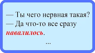 Ты чего нервная такая? Лучшие анекдоты. Смешные анекдоты. Веселые анекдоты. Смех. Досуг.