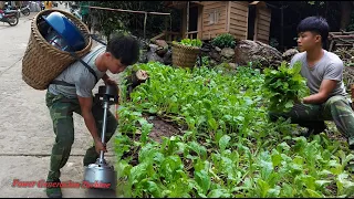 Harvest vegetables to sell, buy turbines to generate electricity powered by water. Build Life Ep. 12