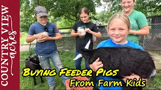 Hog Hauling Day.  Picking up this Years Feeder Pigs.