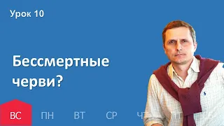 10 урок | 27.11 — Бессмертные черви? | Субботняя Школа День за днем