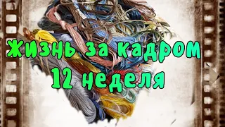 Жизнь за кадром 12 неделя 20.07-26-07