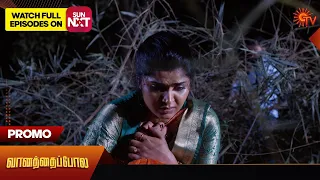 Vanathai Pola - Promo | 02 February 2024  | Tamil Serial | Sun TV