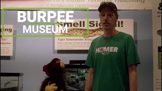 Burpee Museum of Natural History│Rockford's Culture Crawl│Museum Event│Museum Tour│Dinosaur Exhibit