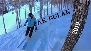 Акбулак 2019, трассы в лесу и черная трасса, вид с коптера / Akbulak, ski resorts in Kazakhstan