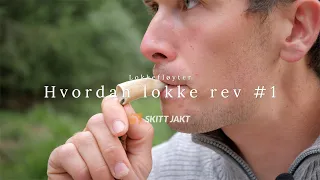 Lokkefløyter - Hvordan lokke rev #1 - Revelokk - lokkejakt - revejakt