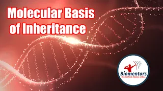 Molecular Basis of Inheritance l Lecture 19 l Biology l NEET