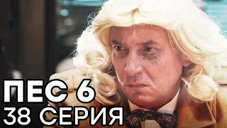 Сериал ПЕС 6 - 6 сезон - 38 серия - ВСЕ СЕРИИ смотреть онлайн | СЕРИАЛЫ ICTV