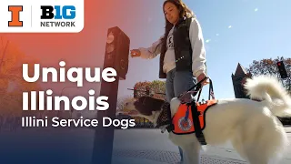 Unique Illinois: Illini Service Dogs