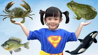 Trò Chơi Đi Săn Và Học Tên Các Con Vật ❤ AnAn ToysReview TV ❤