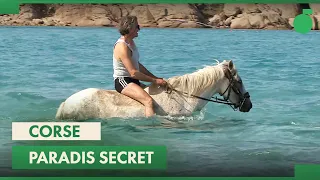 Corse : les trésors d'un paradis secret