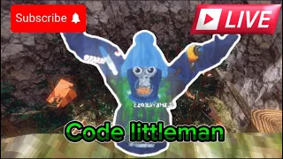 Gtag stream get on code littleman to meet me