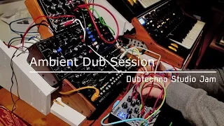 Dub Techno Live Studio Jam / Session #5 - Behringer Model D | Pittsb.Lifeforms | Cubase