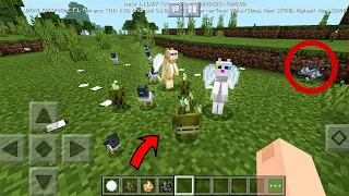 ГОЛУБЬ И ЖИВОЙ ОГУРЕЦ УЖЕ в Minecraft PE 1.11.0.7! АДДОН НА НОВЫХ ЖИВОТНЫХ! СКАЧАТЬ СЕЙЧАС БЕСПЛАТНО