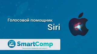 Голосовой помощник Siri: как настроить и пользоваться на айфонах