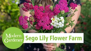 How to Grow Cut Flowers with Sego Lily Flower Farm