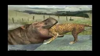 Как бегемот сжирает леопарда