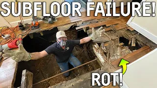 The Owner FELL THROUGH Their Floor... So They Called Us