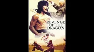 Jackie Chan Classic Movie Revenge Of The Dragon 1979