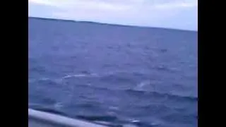Горьковское море 1
