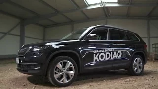 Skoda Kodiaq oder Tiguan Allspace?!