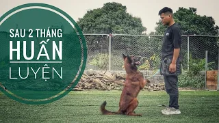 Bất Ngờ - Chú Chó được Huấn Luyện Sau 2 Tháng / NhamTuatTV - Dog in Vietnam