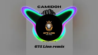 Camidoh_sugarcane moombah chill remix (675 LION) 2023 VIBEZ🇵🇬