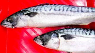 Ordinary MACKEREL can surprise you! I have never eaten such a delicious fish!